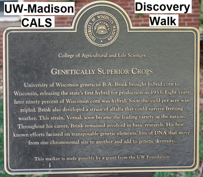 CALS Discovery Walk plaque