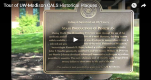Video Tour of Plaques