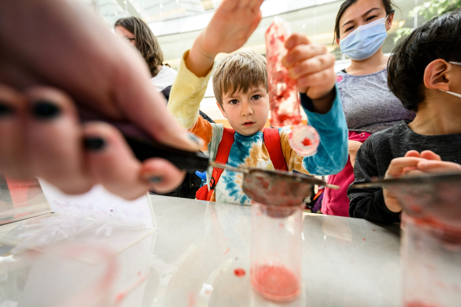 Kindergartener Kenyan Darley moves the cranberry content of a test tube through a sieve with the help of undergraduate Jordan Cargill from the cranberry genetics and genomics lab during a Science Expeditions activity