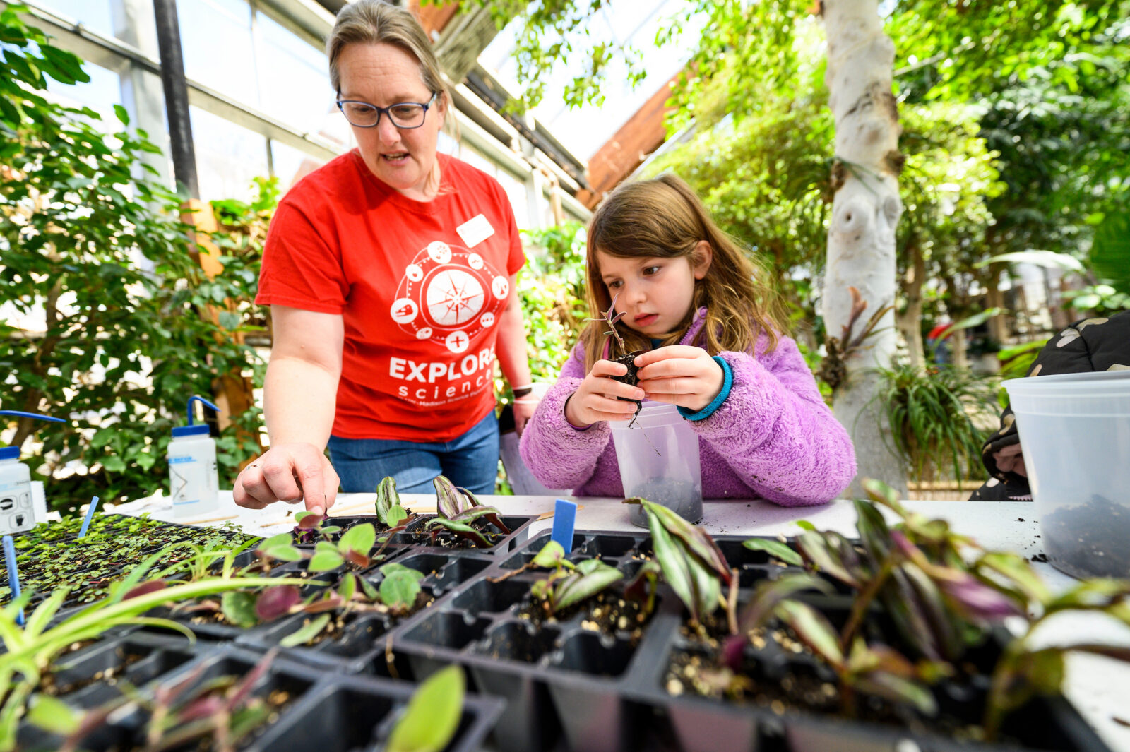 At left, greenhouse manager Johanna Oosterwyk helps a child create a terrarium by adding rocks, soil, several small plants, and some water to a plastic container during a Science Expeditions activity in the D.C. Smith Greenhouse.